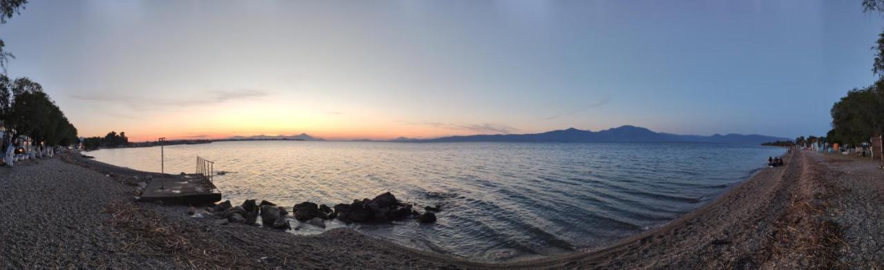 Beach Front Apartment Nea Palatia エクステリア 写真